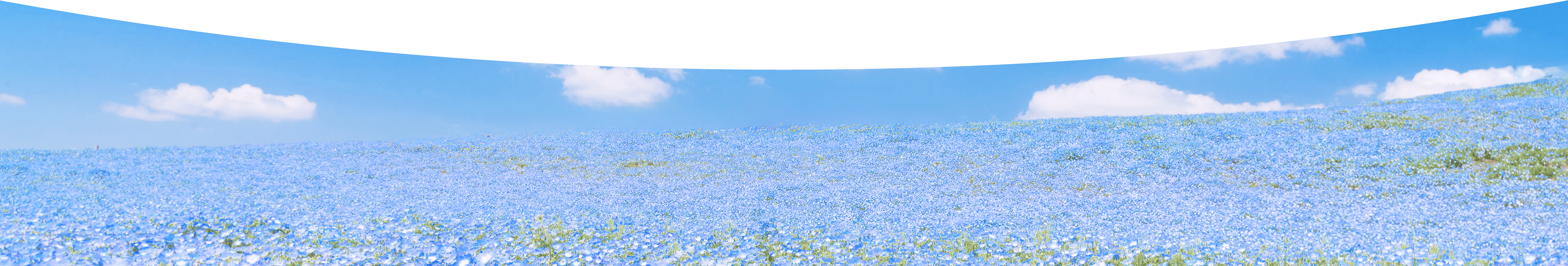 Okamoto Clinic 岡本医院