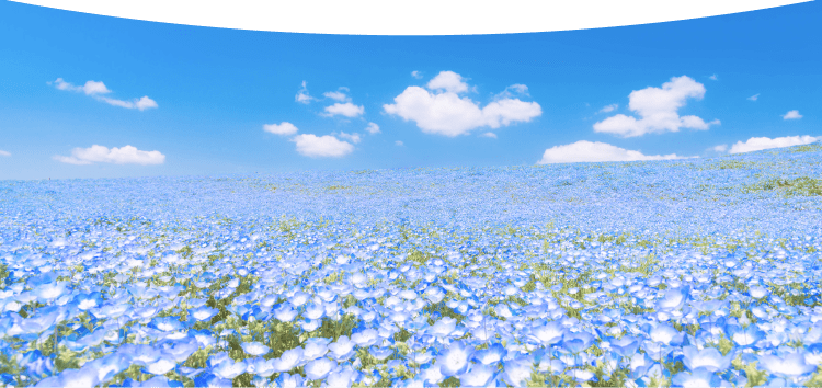 Okamoto Clinic 岡本医院