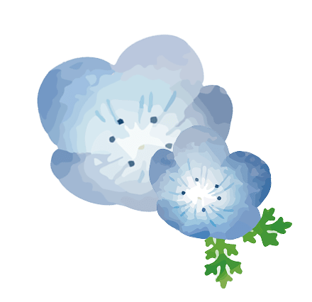 医師プロフィール